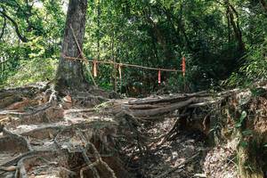 BIB: 
                            <button type="button" onclick="openModal(27800714)" class="btn btn-primary btn-sm float-right btn-popup" data-toggle="modal" data-target=".modal-high-quality">
                        <i class="fas fa-shopping-cart"></i> Add to Cart
                    </button>
                                            <button type="button" onclick="isThisMe(27800714, true)" class="btn btn-success btn-sm float-right btn-popup btn-isme hidden" data-toggle="tooltip" data-placement="bottom" title="นี่คือรูปของคุณใช่ไหม คลิกที่นี่เพื่อเอาเข้าอัลบั้ม">
                        <i class="fas fa-plus"></i> Add to album
                    </button>
                    <button type="button" onclick="isThisMe(27800714, false)" class="btn btn-warning btn-sm float-right btn-popup btn-isnotme hidden">
                        <i class="fas fa-ban"></i> Remove from album
                    </button>